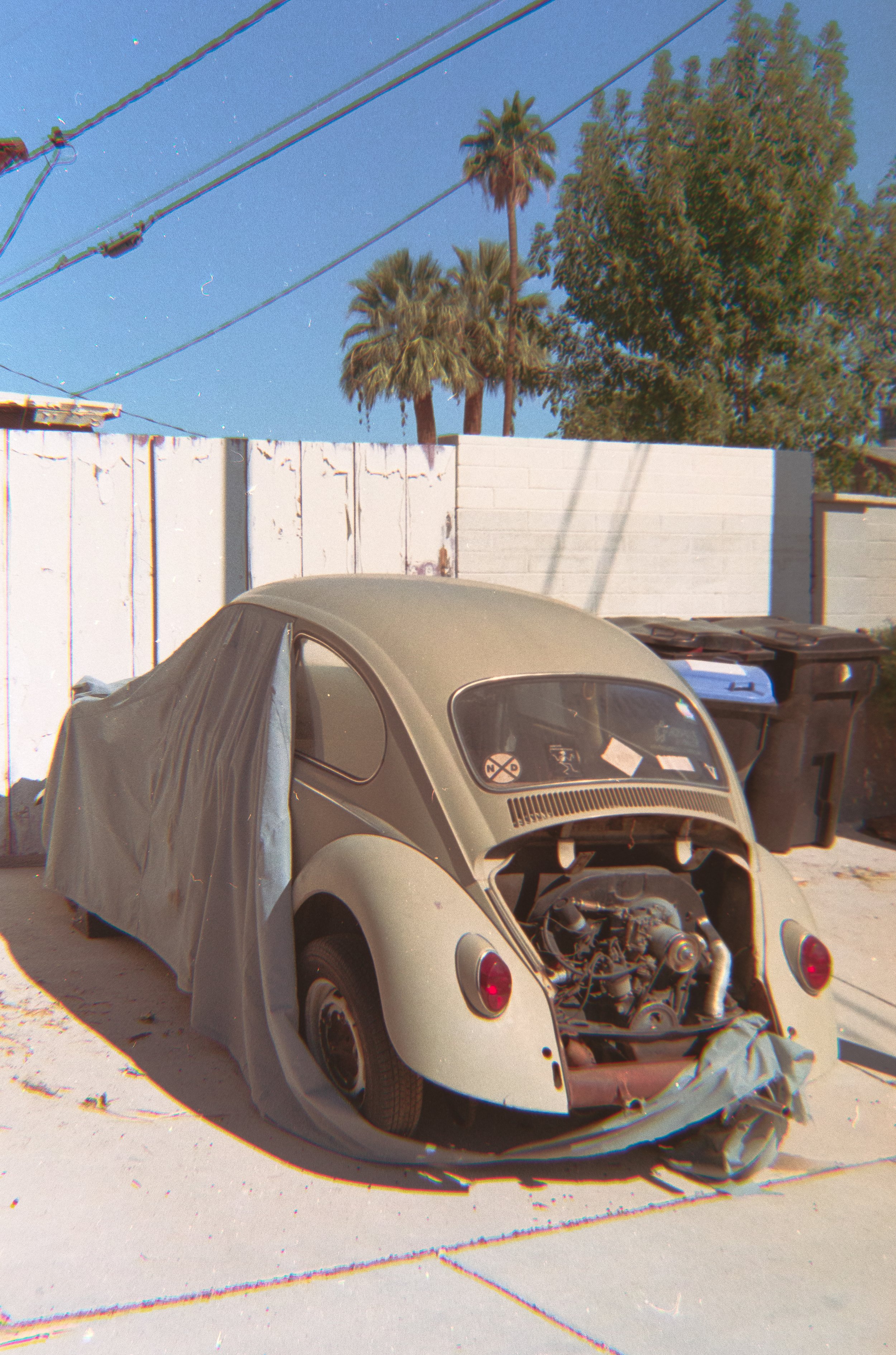 Rides on Rolls-5.jpg