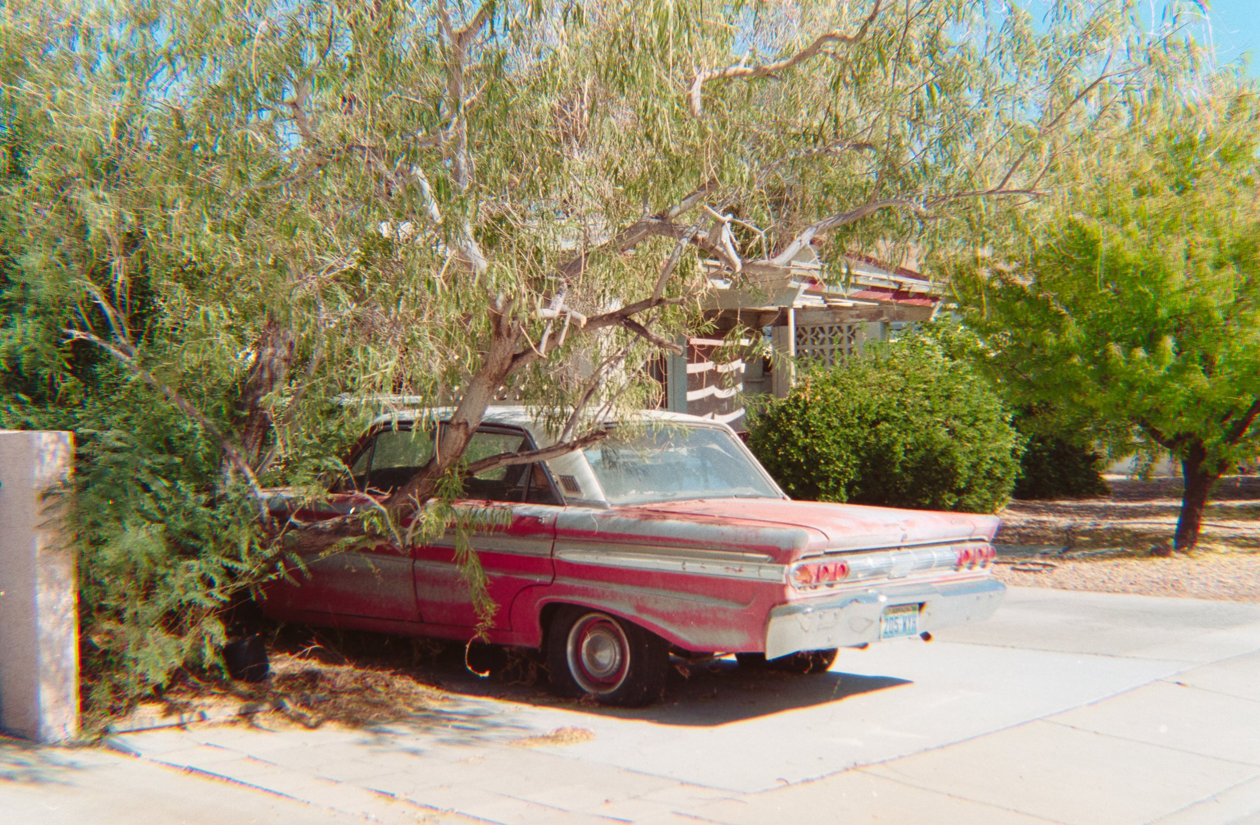 Rides on Rolls-7.jpg