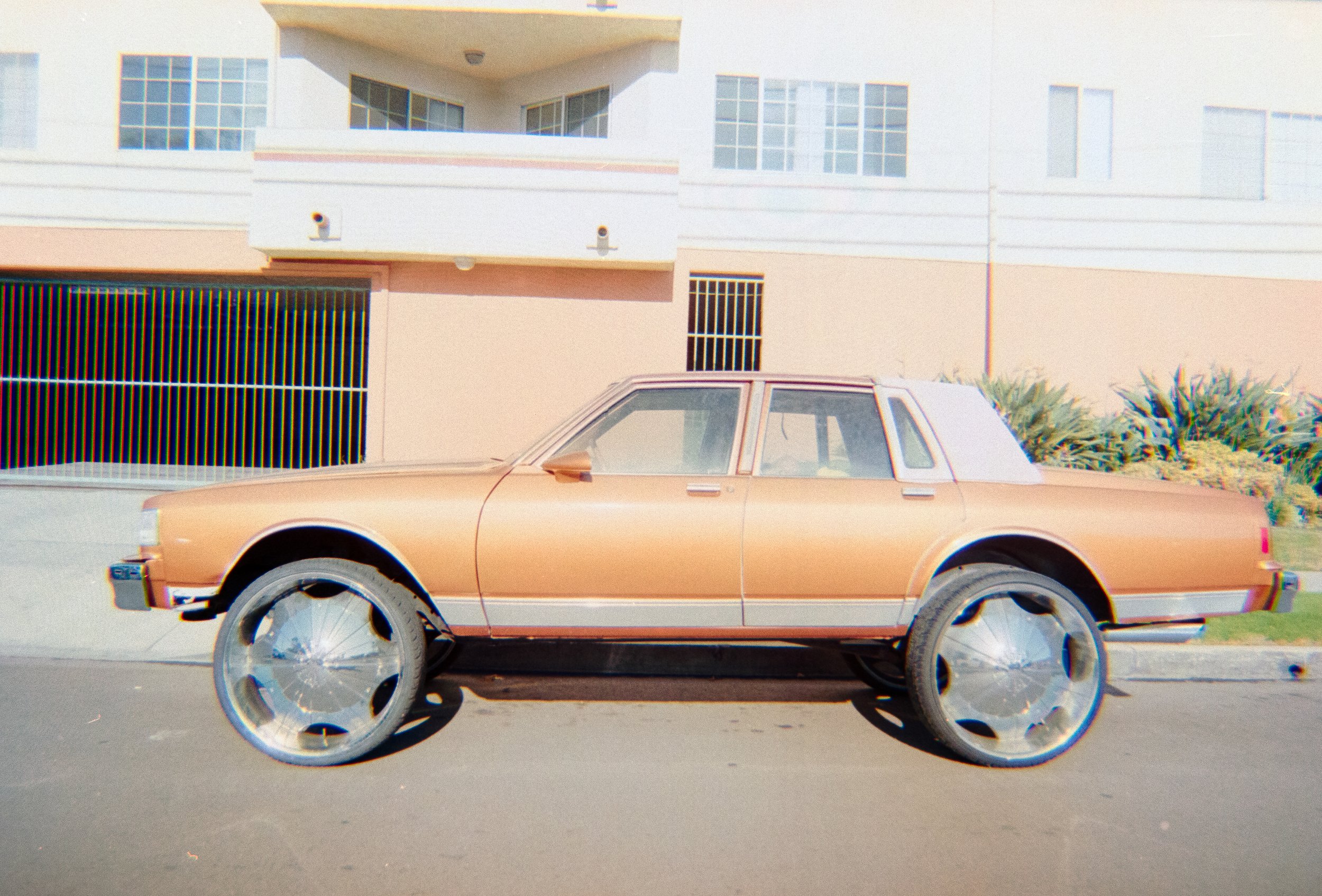 Rides on Rolls-9.jpg
