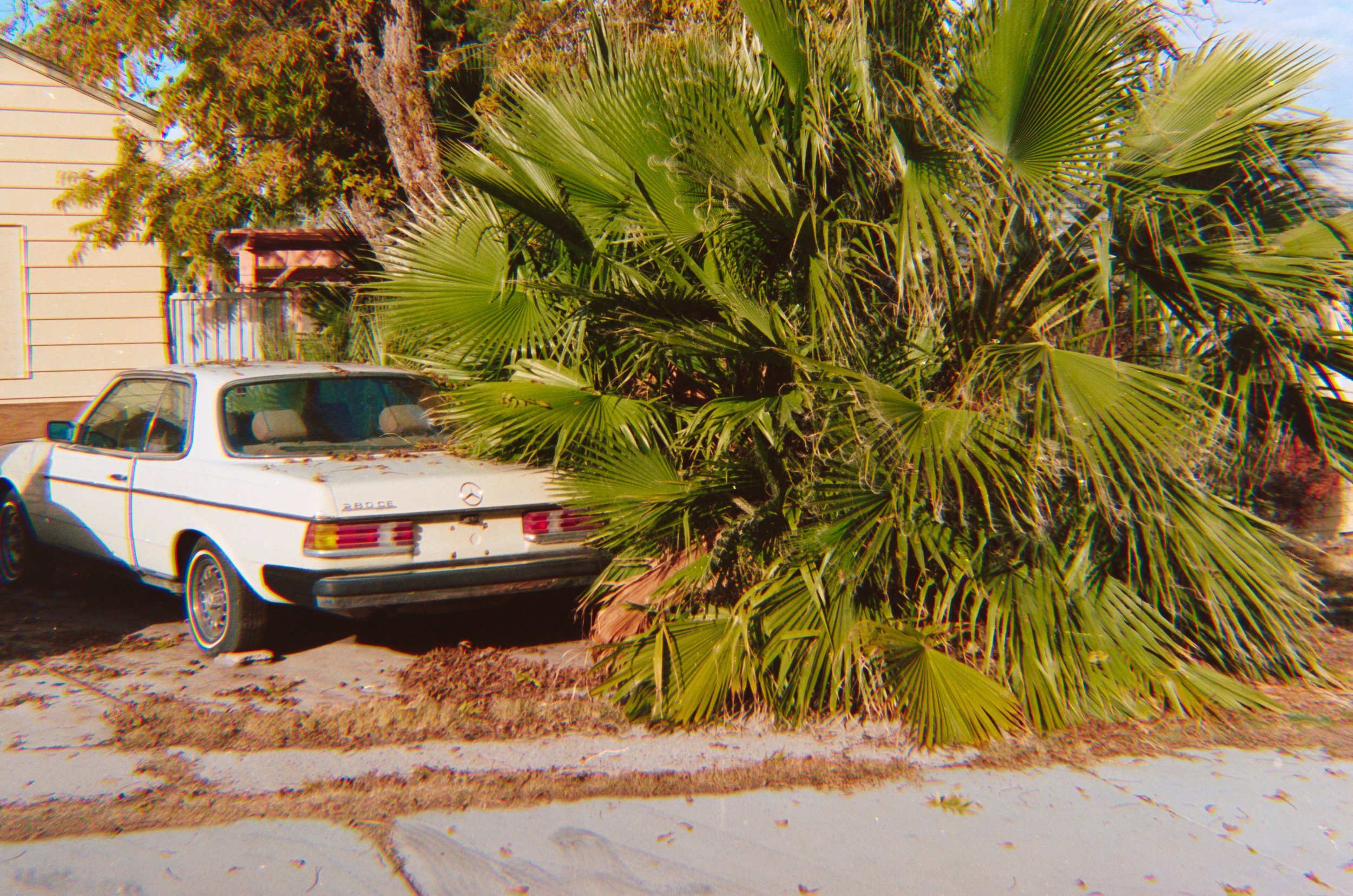 Rides on Rolls-13.jpg