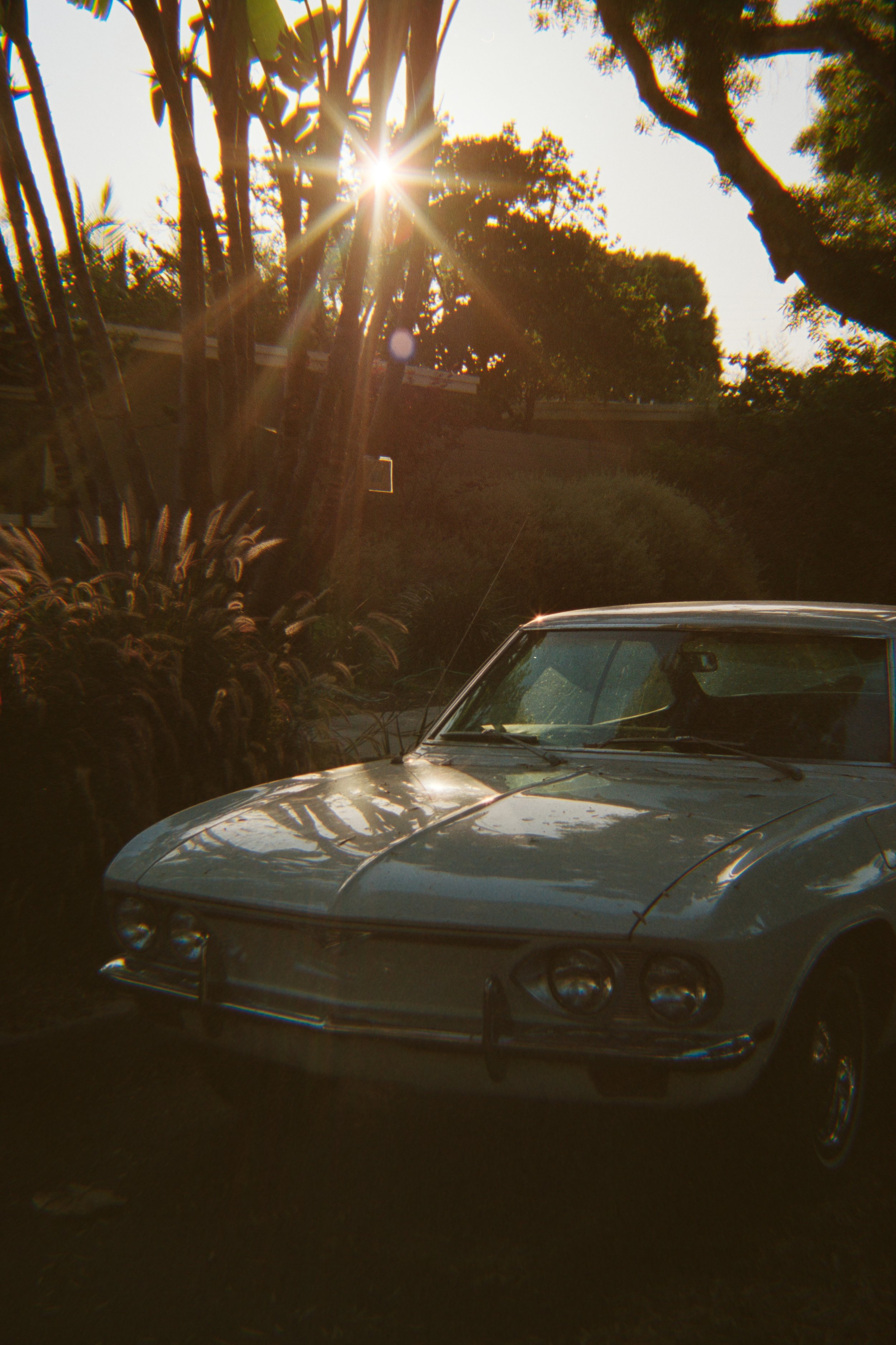 Rides on Rolls-36.jpg